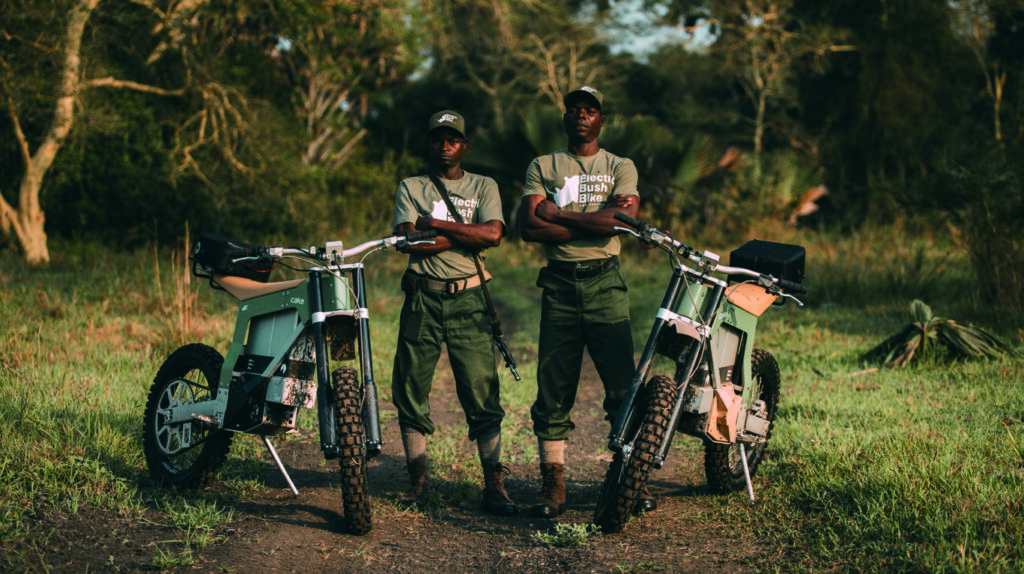 달콤한 디자인 위에 지속 가능성 한 스푼, 케이크 6 230426000000102 O