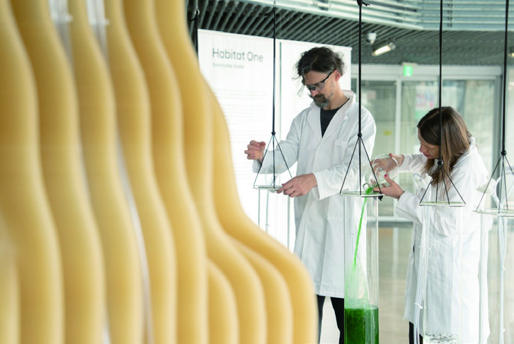 <해비타트 원 Habitat One〉전 5 230426000000308 O