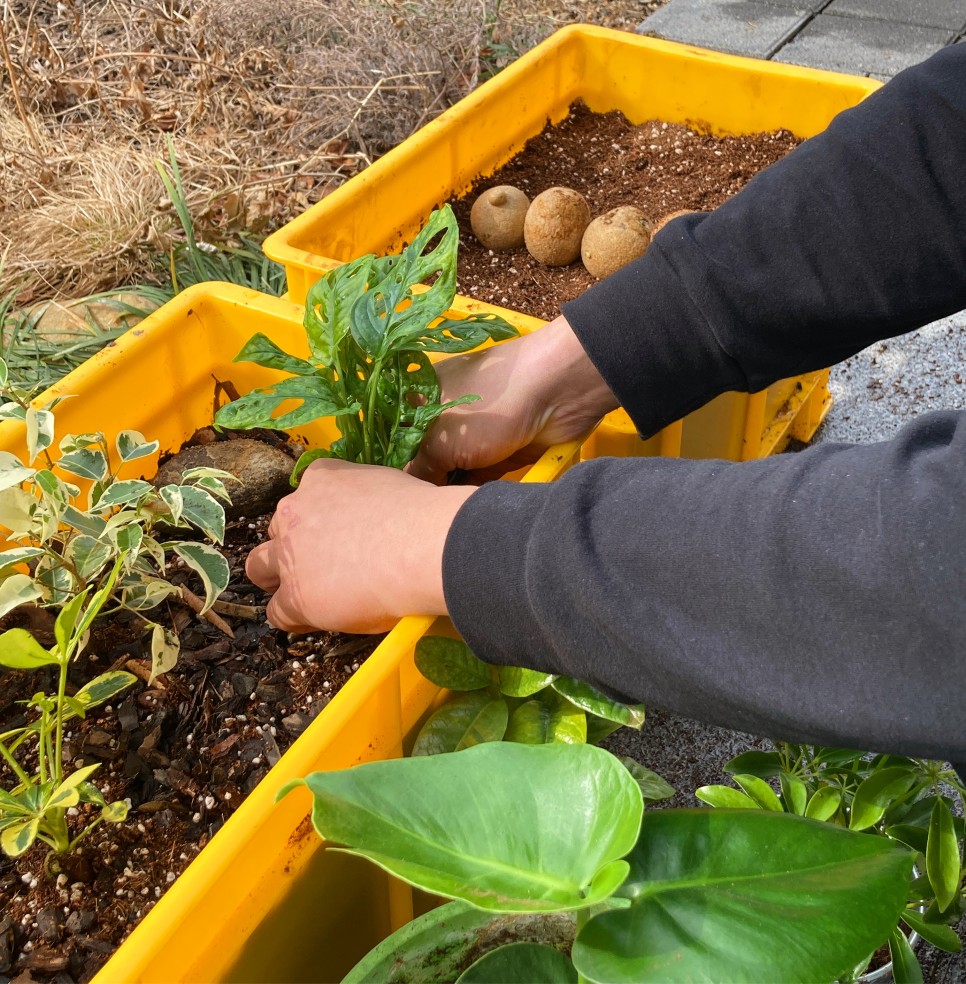 감자에 진심인 이들이 만든 공간, 감자유원지 ① 14 0BE04129 07B1 4A79 8BDD B68339B19FEE