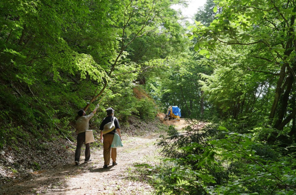미래에는 어떤 소재가 인기를 얻을까? 12 12 2