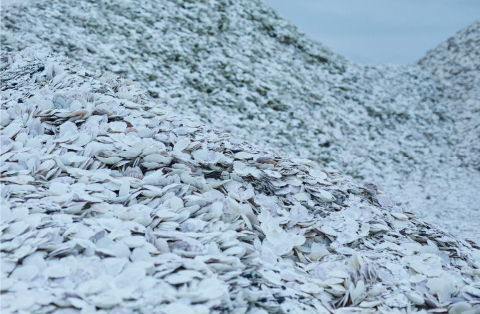 미래에는 어떤 소재가 인기를 얻을까? 15 15 11