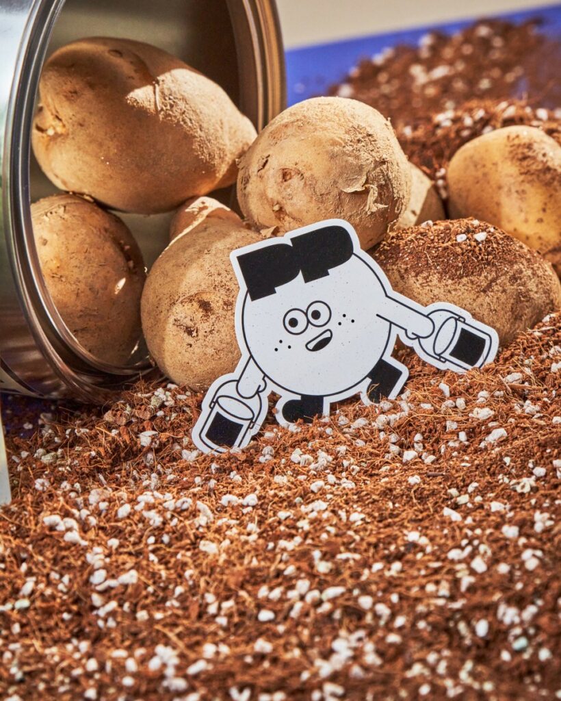 감자에 진심인 이들이 만든 공간, 감자유원지 ① 1 22 1101 한국관광공사 더루트컴퍼니 0080