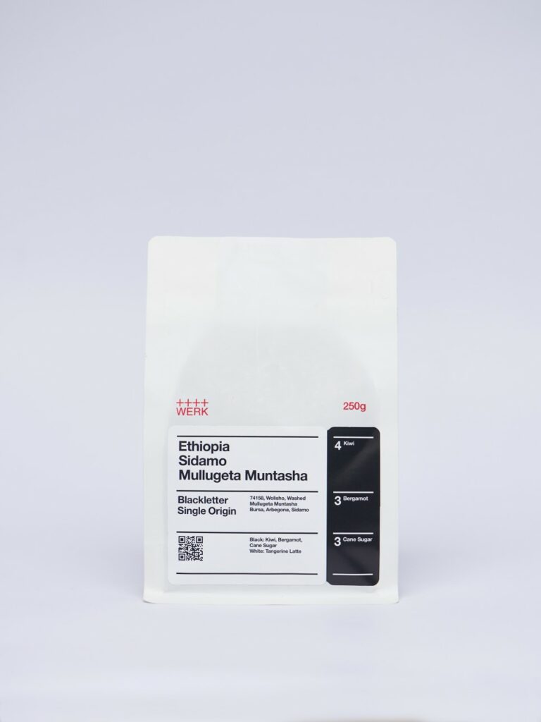 서비스센터, 베르크 로스터스 디자인 1.0에서 2.0까지 ① 20 230125 WERK7805