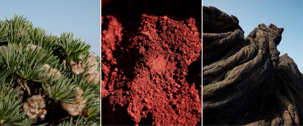 남아공 자연 위에 그린 버버리 체크 패턴 4 3 16