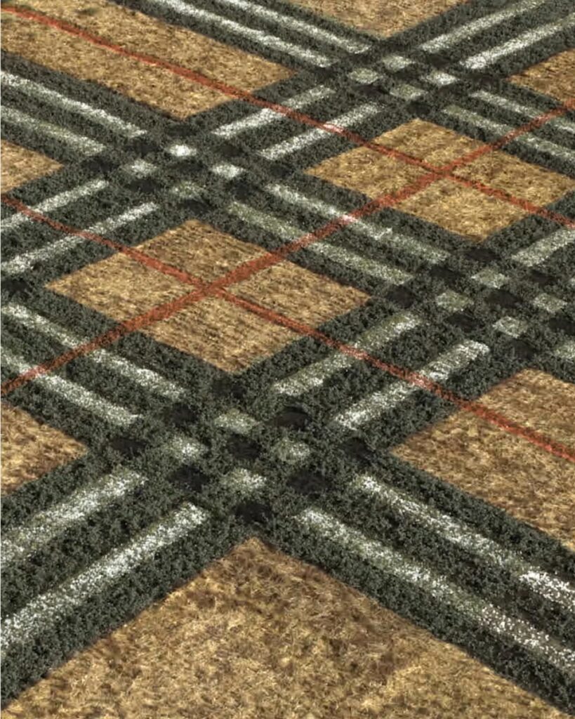 남아공 자연 위에 그린 버버리 체크 패턴 6 6 11