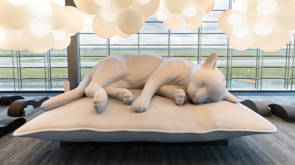 파리 공항의 변신기 8 7 Malherbe Paris가 디자인한 잠자는 대형 고양이 Ines. ©Gwen le bras