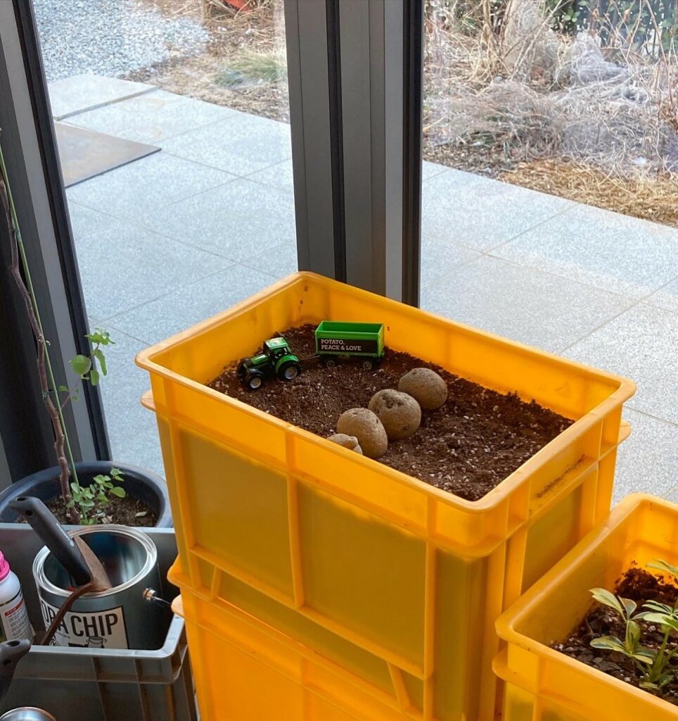 감자에 진심인 이들이 만든 공간, 감자유원지 ① 15 F4E872BF 9E46 42C0 9C40 D9937183BA43