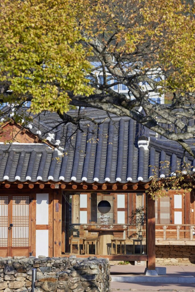 시간이 느리게 흐르는 곳, 강진 산책 1 LJM 02 2757 F1 복사본