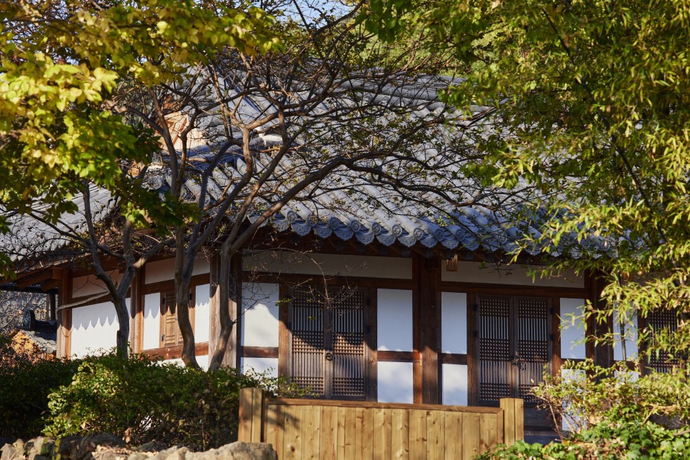 시간이 느리게 흐르는 곳, 강진 산책 12 LJM 05 3546 F1 복사본