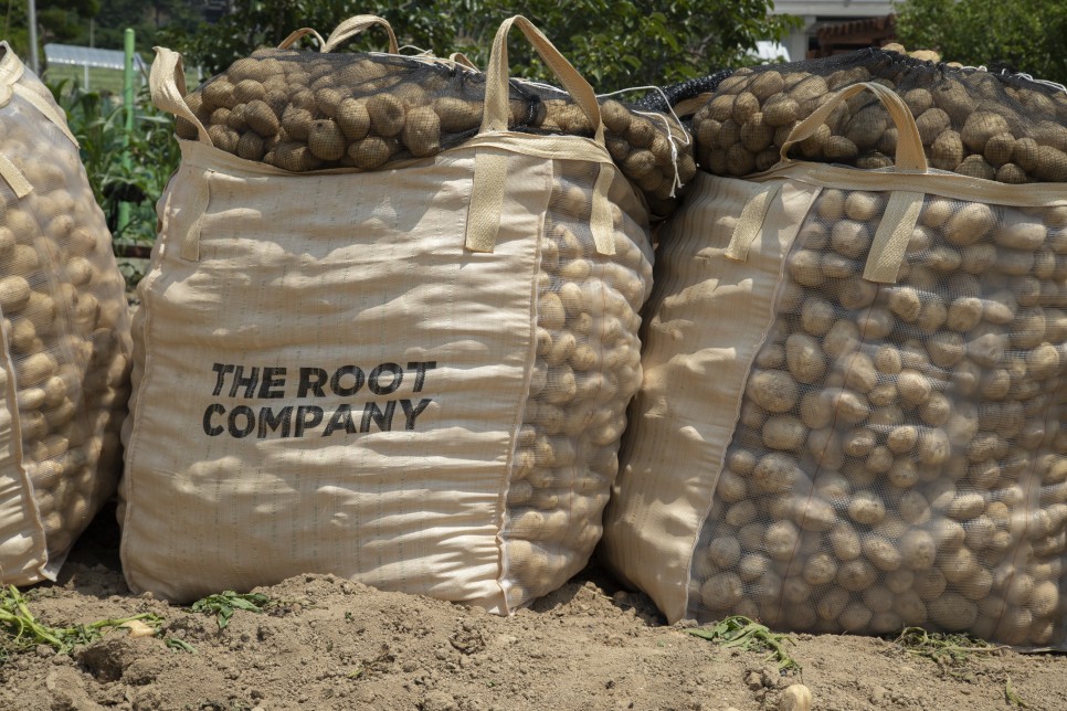 감자에 진심인 이들이 만든 공간, 감자유원지 ① 7 MG 0545