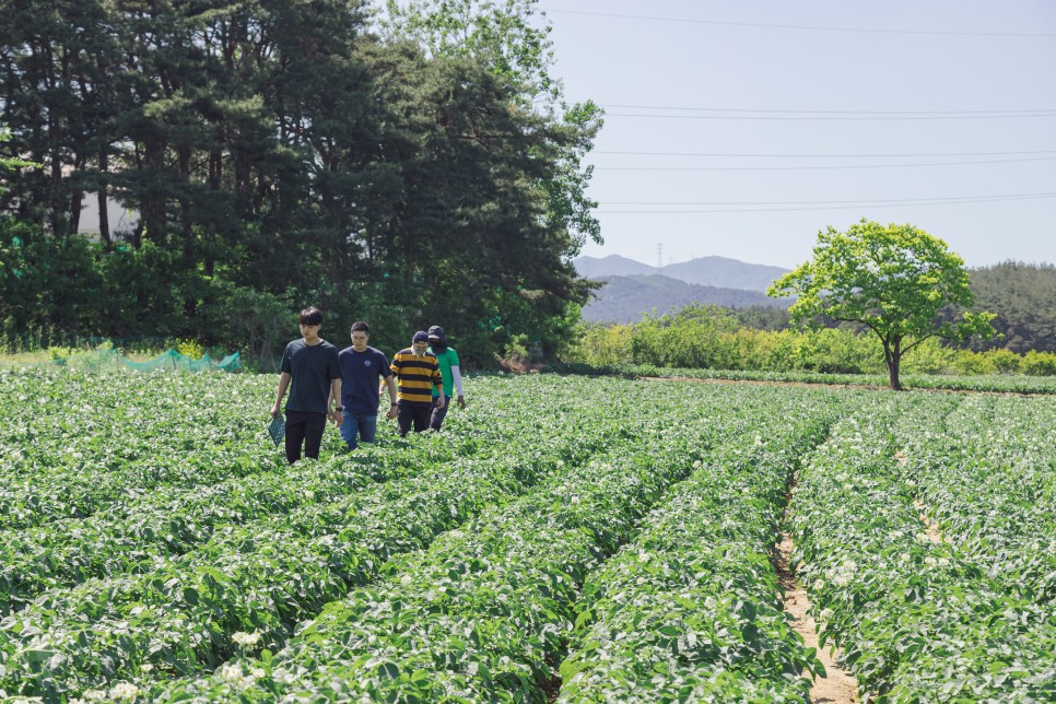 감자에 진심인 이들이 만든 공간, 감자유원지 ① 6 MG 9155