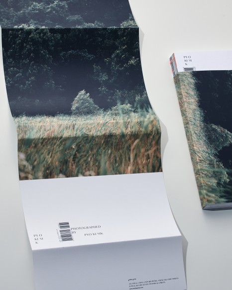 고민고민 담은 그래픽 디자인, 스튜디오 고민 ② 4 PYOKISIK forest ver