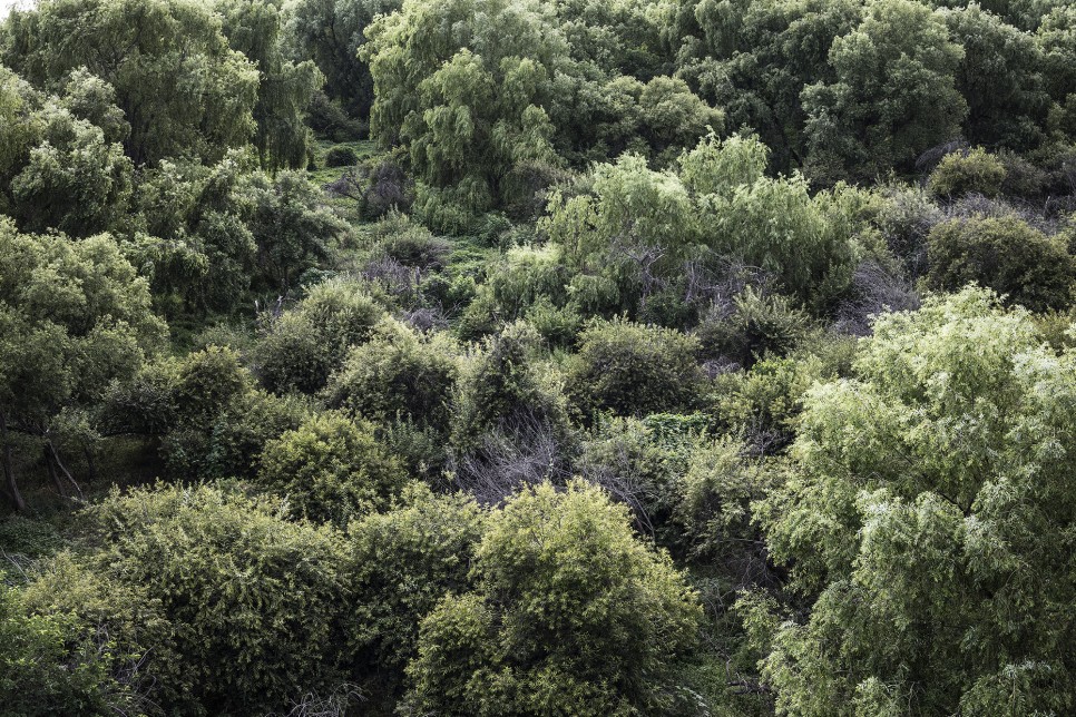 newcolor hanriver kiwoonghong