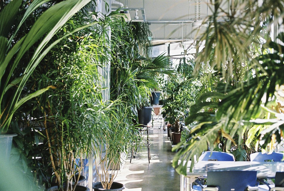 식물과 요리가 한 곳에, 제주 플랜트 바 '용기' ① 13 pdyg 055