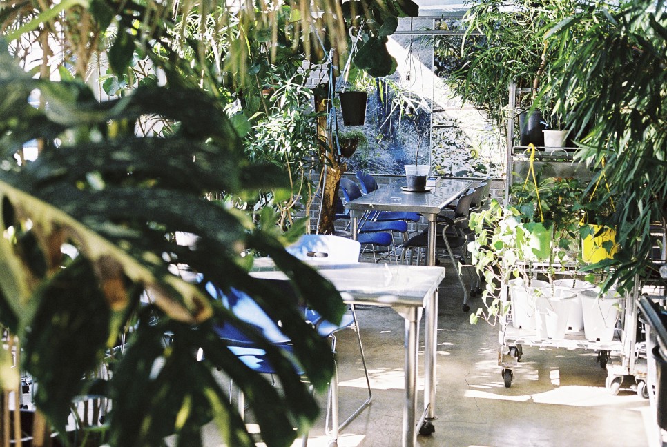 식물과 요리가 한 곳에, 제주 플랜트 바 '용기' ① 14 pdyg 060