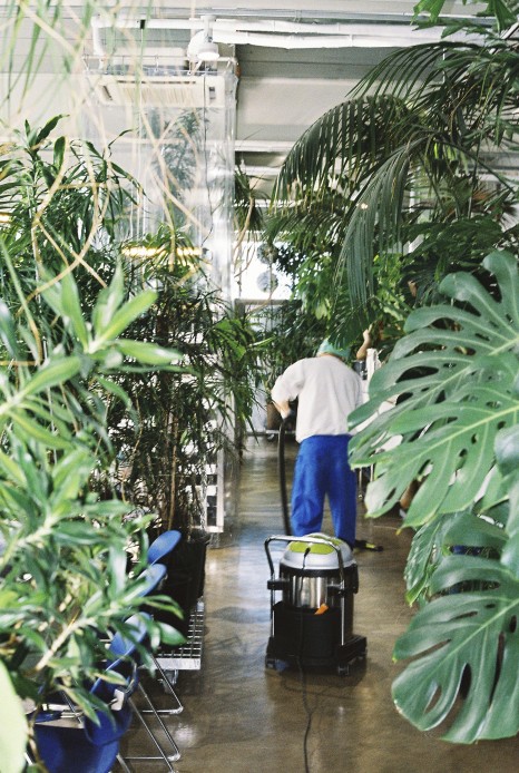 식물과 요리가 한 곳에, 제주 플랜트 바 '용기' ① 11 pdyg 127