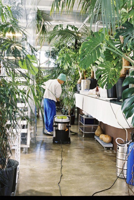 식물과 요리가 한 곳에, 제주 플랜트 바 '용기' ① 12 pdyg 134