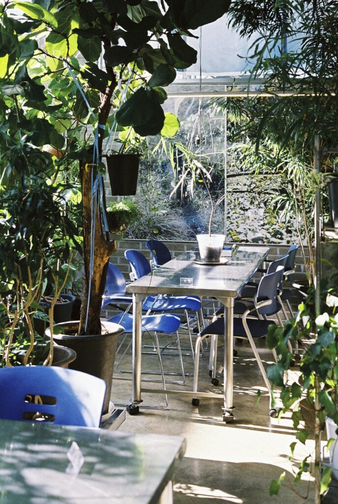 식물과 요리가 한 곳에, 제주 플랜트 바 '용기' ① 9 pdyg 430