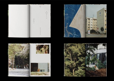 고민고민 담은 그래픽 디자인, 스튜디오 고민 ② 7 고양이들의아파트005