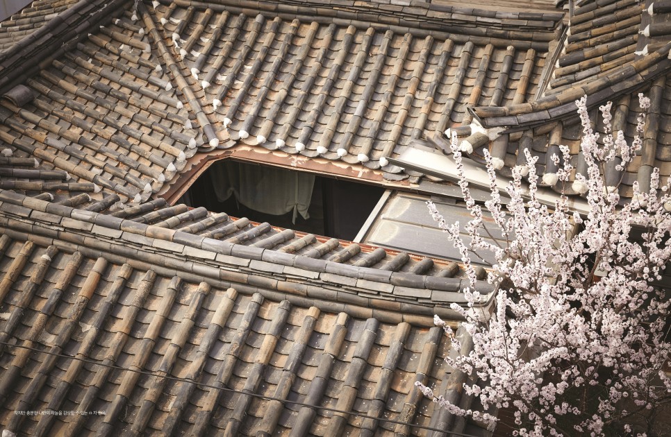 한옥에서 사는 삶을 보고 읽다 10 더 한옥 8