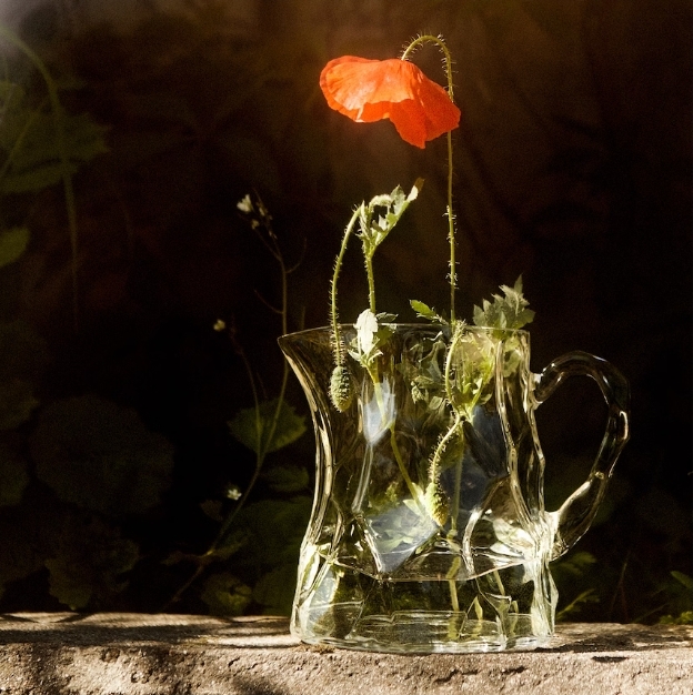 스칸디나비아 디자인의 정수를 요약하다 12 스칸디나비아 디자인의 정수를 요약하는 이케아X마리메꼬 컬렉션 12