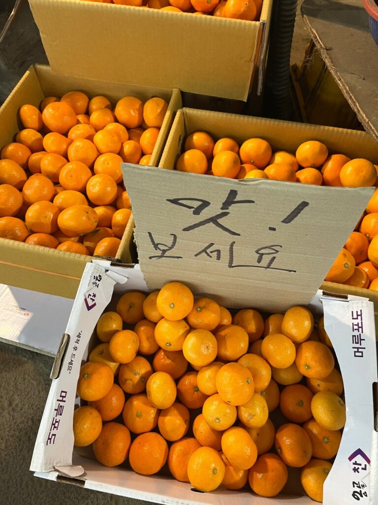 식물과 요리가 한 곳에, 제주 플랜트 바 '용기' ② 9 용기 오일장3