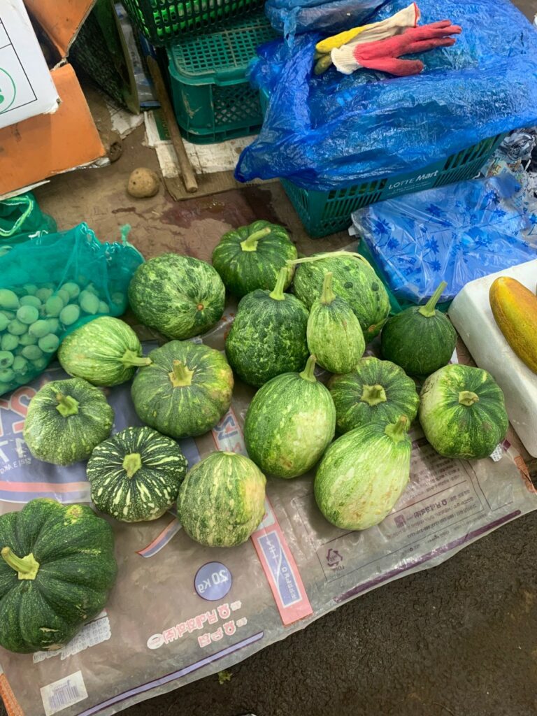 식물과 요리가 한 곳에, 제주 플랜트 바 '용기' ② 8 용기 오일장5