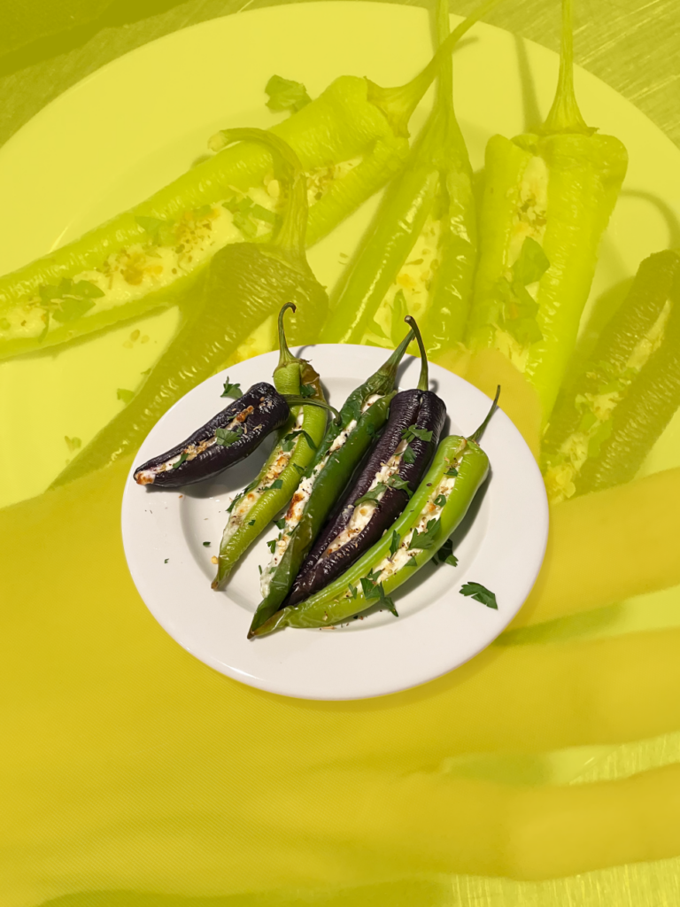 식물과 요리가 한 곳에, 제주 플랜트 바 '용기' ② 2 치즈고추