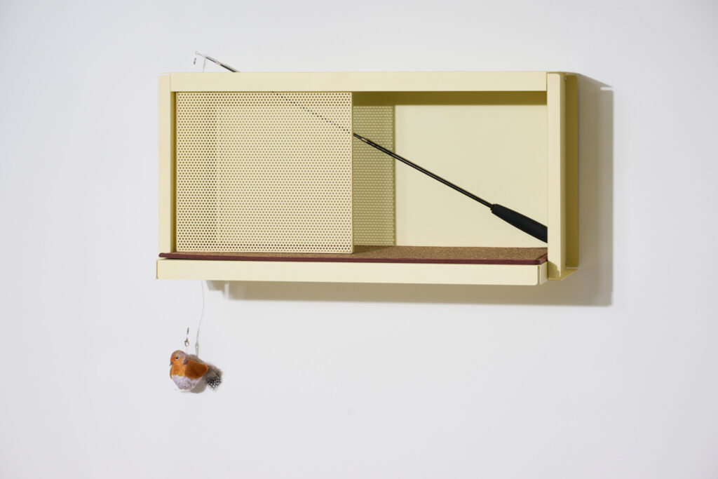 레어로우 시스템000 캣 에디션 1 1 3