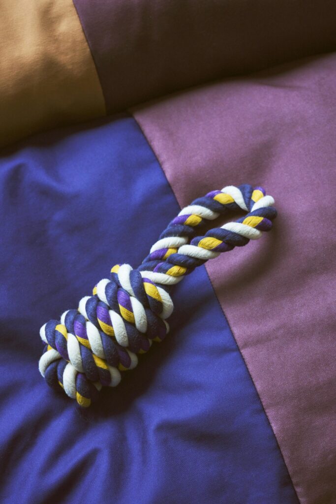 헤이의 2024 봄 신제품 2 HAY Dogs Bed L burgundy and green HAY Dogs Rope Toy blue and purple and ochre 01 1