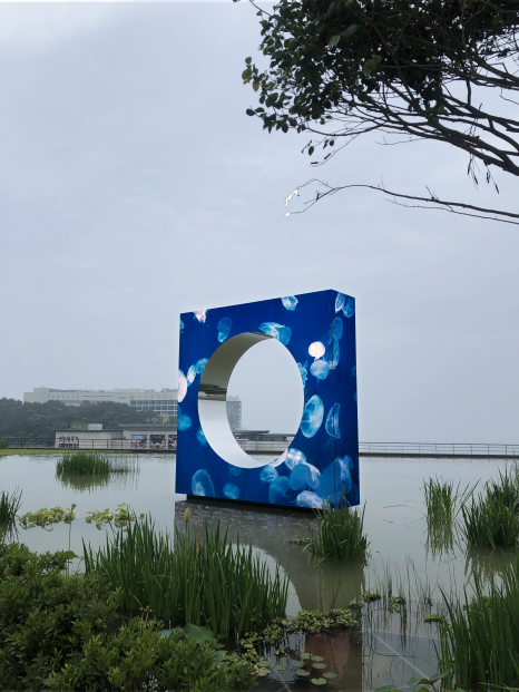 동서양 하이브리드 디자인 스튜디오, 감프라테시앤피 ② 7 젤리피쉬 컷3