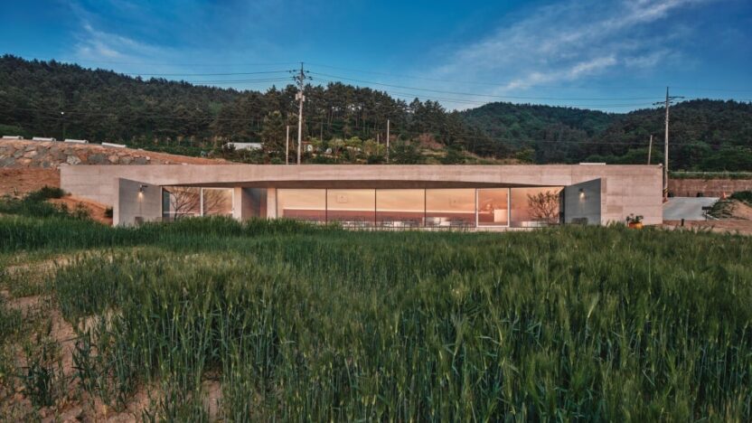 건축가의 손길 닿은 자연 속 카페 3 1 01 9