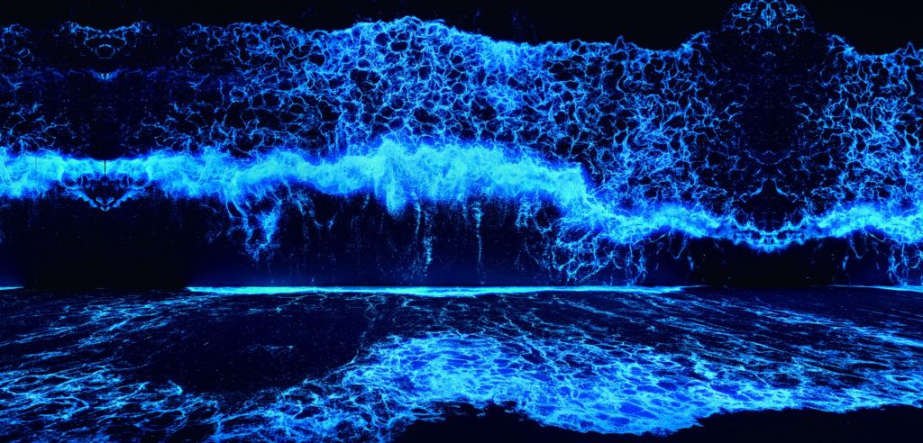 디스트릭트 이상진 부사장 4 03 10