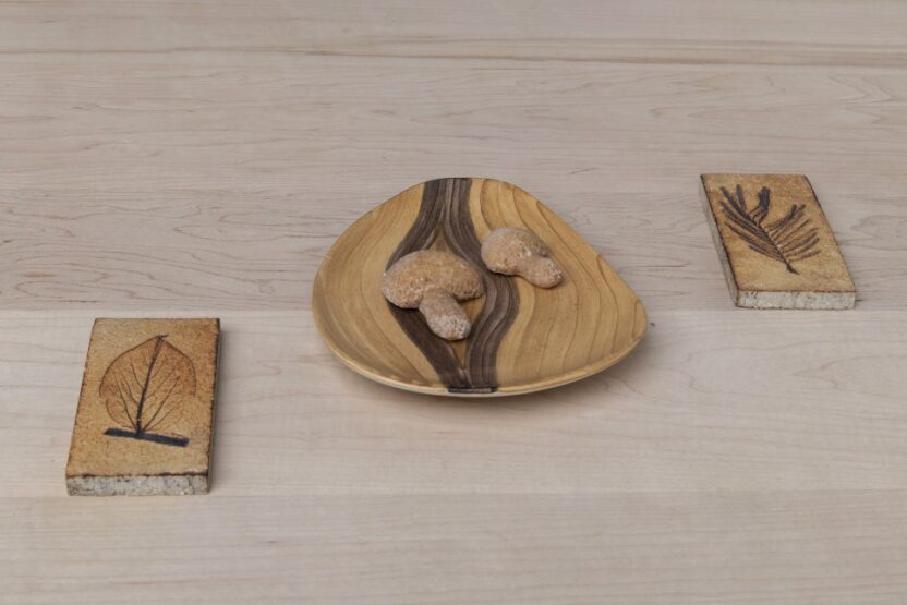 에르메스 재단 `라 베리에흐´의 네 번째 전시, 〈EME E DAMES MESSEUR〉 11 11 10