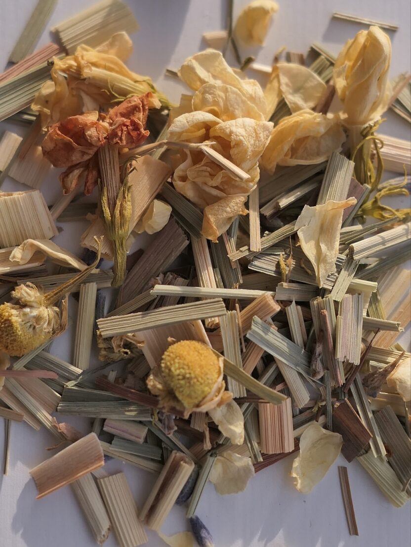 설계자의 취향 담은 본거지, 김금 11 11 23