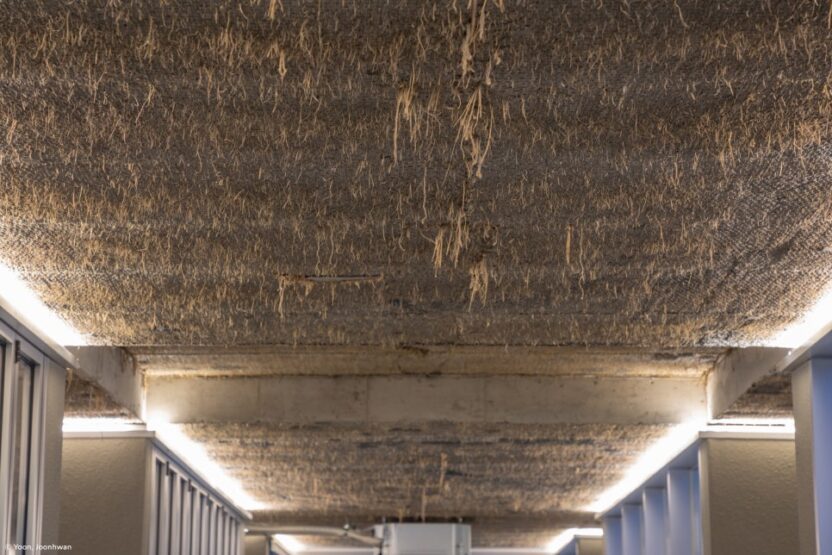 건축가의 손길 닿은 자연 속 카페 3 14 14 5