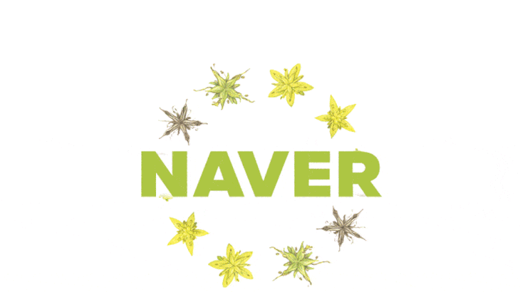 다양한 창작자와 함께 담은 다채로운 일상, 네이버 스페셜로고 ② 4 20220422 지구의날