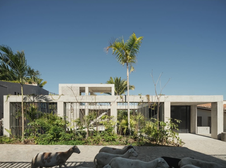 디자인 트렌드를 보여주는 세계의 독특한 ‘신상’ 호텔 4곳 20 nico sayulita 1