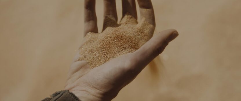 영화 〈듄〉의 미술 감독은 창의력을 어떻게 실현했을까? 5 05 1