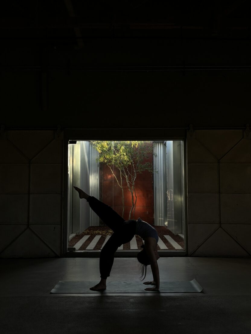 지구를 아끼는 마음으로 취향을 탐미하는 곳, 점 jeom 12 11