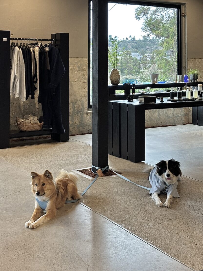 지구를 아끼는 마음으로 취향을 탐미하는 곳, 점 jeom 15 14 2