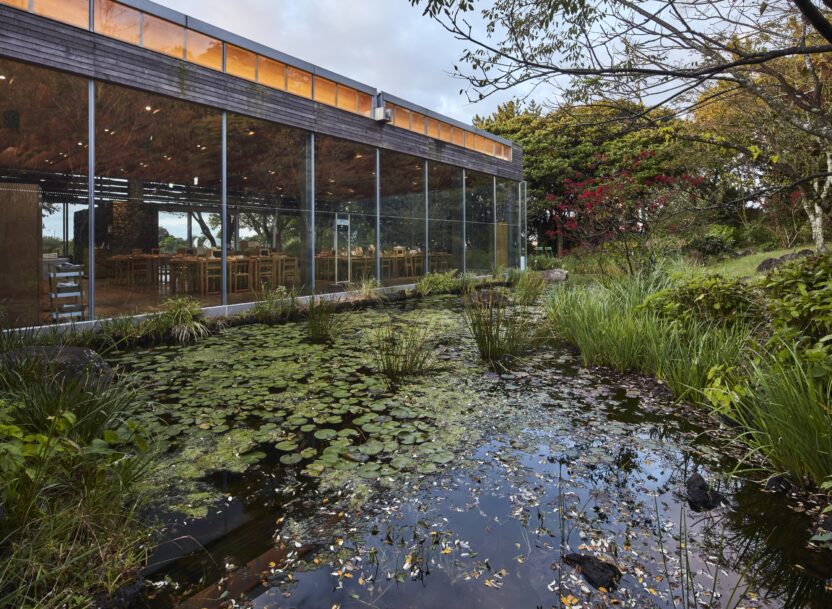 미술관에서 만난 한국 1세대 조경가 11 18 제주 오설록 이니스프리 전경 2013. 사진 김용관