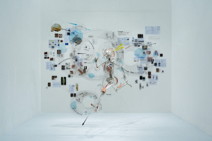 피크닉이 '달리기'를 바라보는 인문학적 관점 3 1F 인간은 달리기 위해 진화해왔다