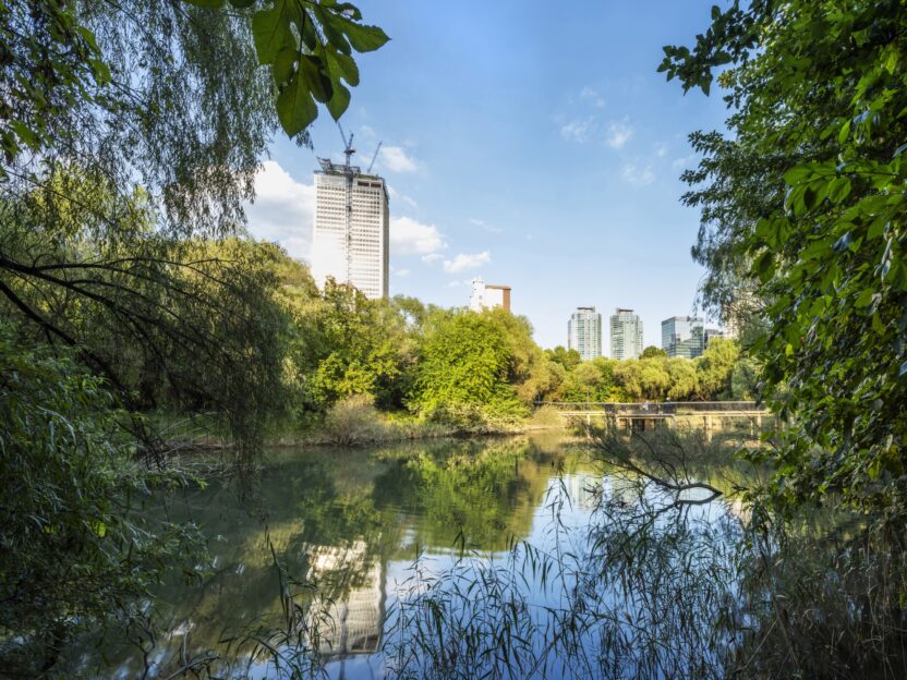 미술관에서 만난 한국 1세대 조경가 13 20 여의도샛강생태공원 전경 2023. 사진 정지현. 국립현대미술관 제공