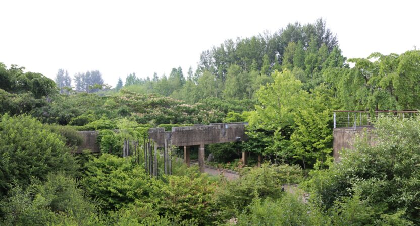 미술관에서 만난 한국 1세대 조경가 14 22 선유도공원 시간의 정원의 여름 2019. 사진 이동협