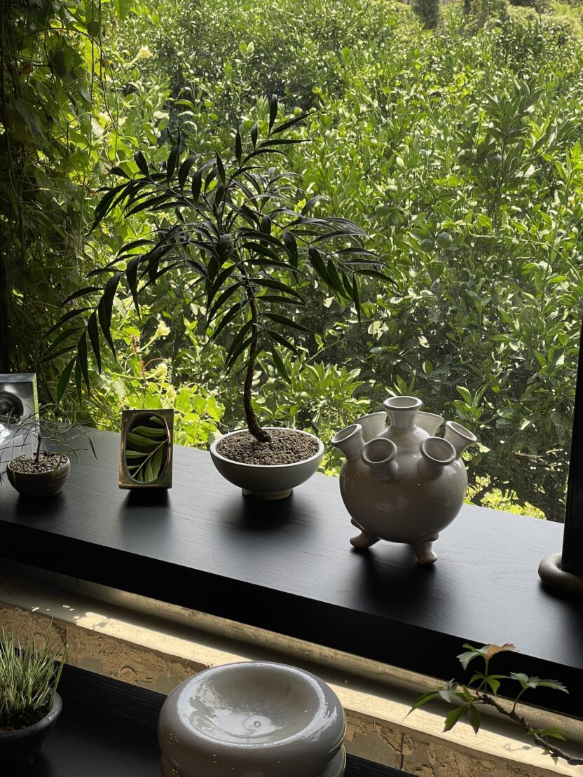 지구를 아끼는 마음으로 취향을 탐미하는 곳, 점 jeom 4 3