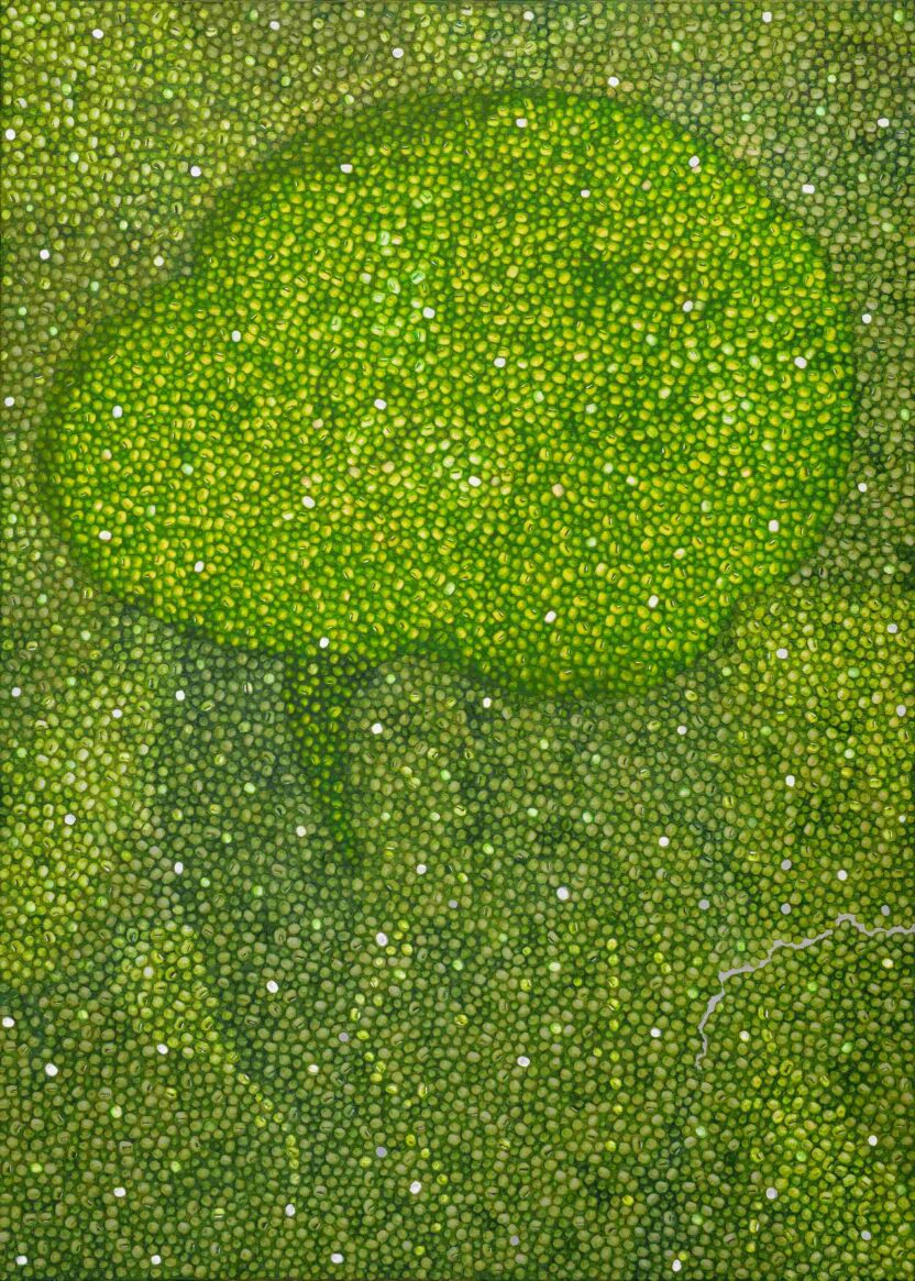 봄과 여름 사이, 놓치지 말아야 할 국내 아트페어 5 15 ArtBusan2024 갤러리밈 정정엽 잃어버린 마을2 무등이왓 2023 Oil on canvas 91 x 65cm