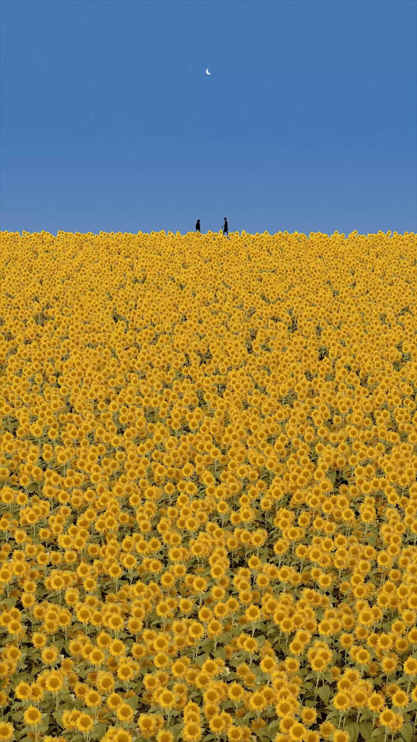 Everybody Loves The Sunshine 2023 Digital LOW