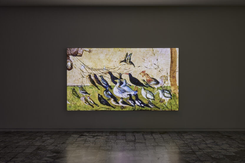 클레어 퐁텐 개인전, 〈아름다움은 레디메이드〉 4 Untitled Sermon to the Birds