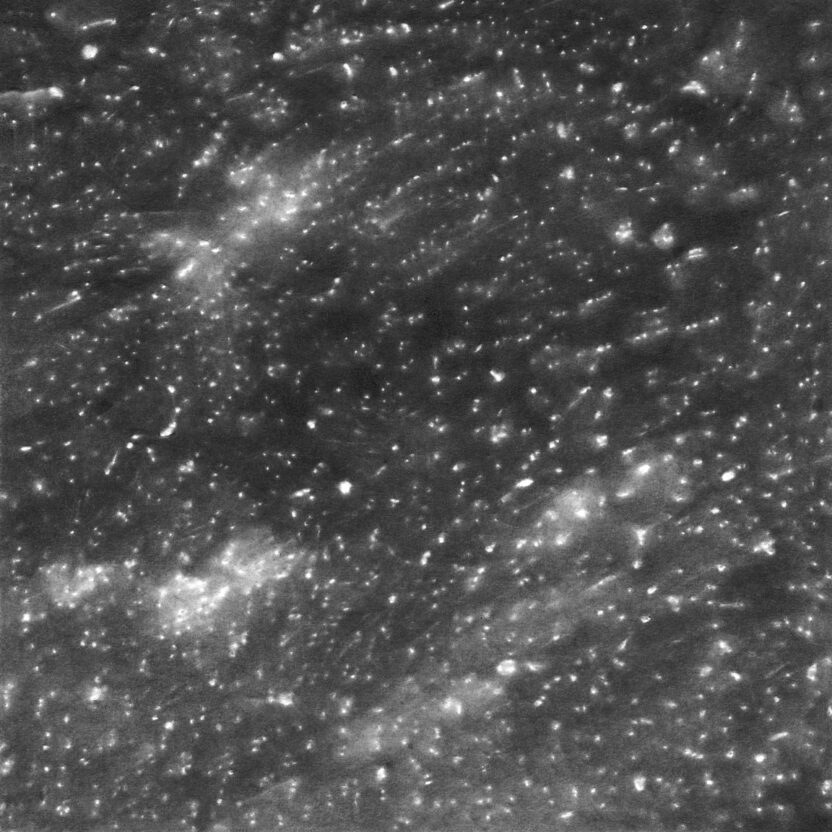 피크닉이 '달리기'를 바라보는 인문학적 관점 14 강동주 밤 산책